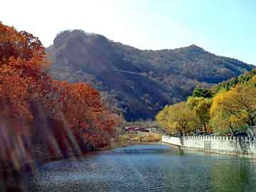 新澳天天开奖资料大全旅游团，藏益渭散